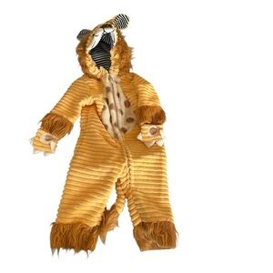Cozy Lion Costume for Kids - Golden Brown